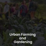 Urban Farming and Gardening - Alpha Academy Key - GLOBAL